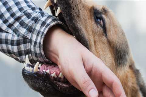 What are the dog bite laws in pennsylvania