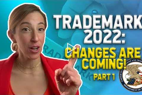 TRADEMARK LAWYER: Trademark Modernization Act (PART 1)