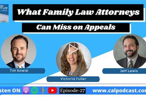 What Family Law Attorneys Can Miss on Appeals