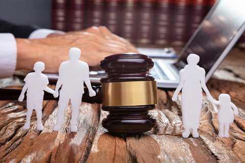 What Family Lawyers Do