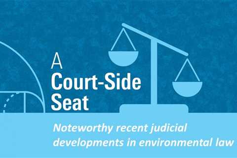 A Court-Side Seat: An End-of-Year Environmental Update