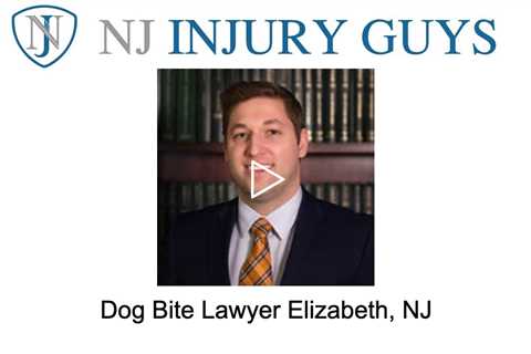 Dog bite lawyer Elizabeth, NJ - NJ Injury Guys