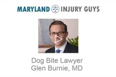 Dog Bite Lawyer Glen Burnie, MD   Maryland Injury Guys