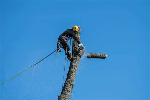 Correcting Common Tree Pruning Mistakes