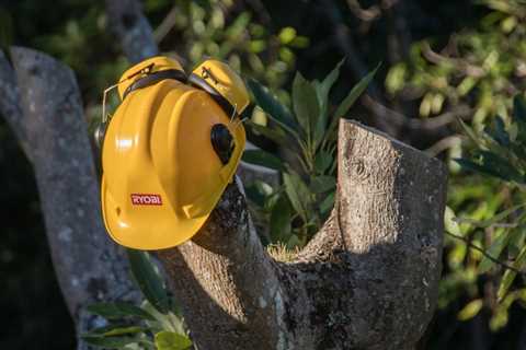 UNDERSTANDING THE DIFFERENT TYPES OF TREE SERVICES AVAILABLE