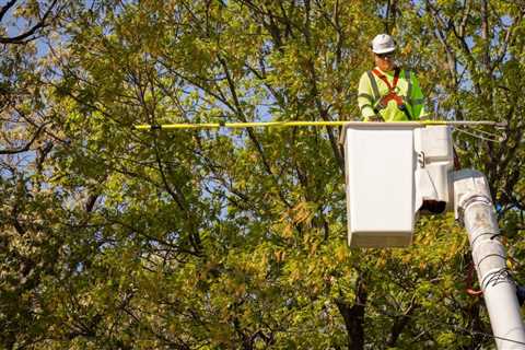 ENCOURAGING SUSTAINABLE TREE CARE PRACTICES FOR SCHOOLS