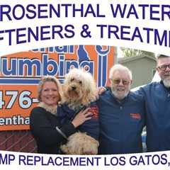 Sump-Pump-Replacement-Los-Gatos-CA-95030