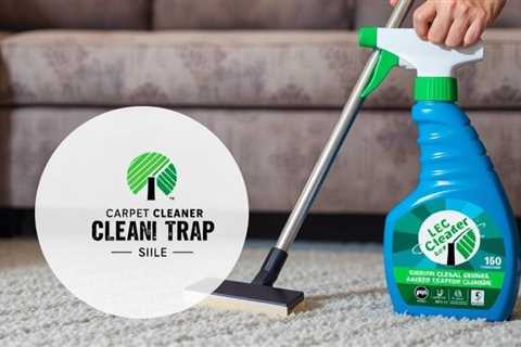 Carpet Cleaner From Dollar Tree
