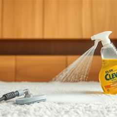 Carpet Cleaner Without Solution