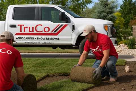 West Valley City Utah Sod Installation