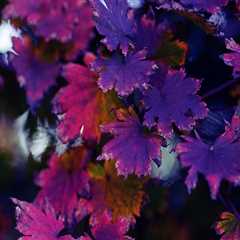 New blog englandu639wvr2.madmouseblog.com