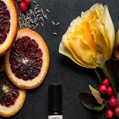 New blog daveu628tsq2.worldblogged.com