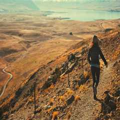 New blog peterc951byw4.rimmablog.com