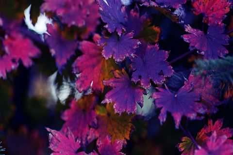 New blog englandu639wvr2.madmouseblog.com