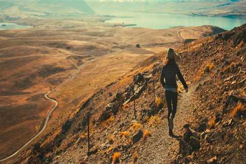 New blog peterc951byw4.rimmablog.com