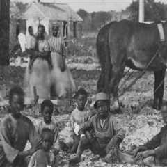 Protecting Animals in St. Leonard, Maryland: Understanding State Laws on Animal Cruelty