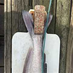 Exploring the State Laws for Hunting and Fishing in St. Leonard, Maryland