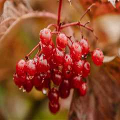 New blog ericu517tsr2.ourcodeblog.com