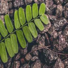 New blog aesopx455evl5.is-blog.com