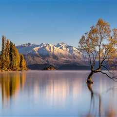 Not known Facts About Business Bankruptcy