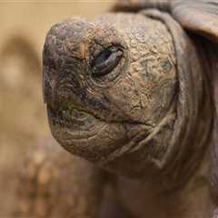 The 2-Minute Rule for Best Durable Poa Lawyer Near Me