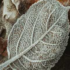 New blog adamw975ygp4.bloggazza.com