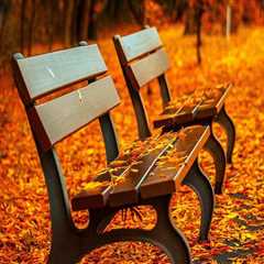 New blog aaroni665coy8.thechapblog.com