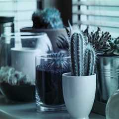 New blog jamesh022ypf2.blogs100.com