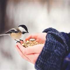 New blog edwardz198gqb0.blogsvila.com