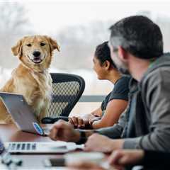 New blog nielss009pdo5.jts-blog.com