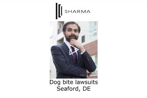 Dog bite lawsuits Seaford, DE - The Sharma Law Firm