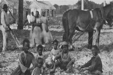 Protecting Animals in St. Leonard, Maryland: Understanding State Laws on Animal Cruelty