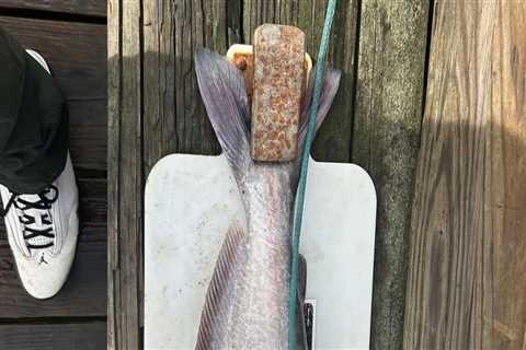 Exploring the State Laws for Hunting and Fishing in St. Leonard, Maryland