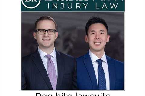 Dog bite lawsuits Ellicott City, MD - Blank Kim Injury Law's Podcast