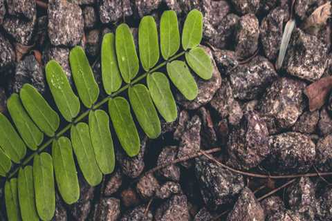 New blog aesopx455evl5.is-blog.com