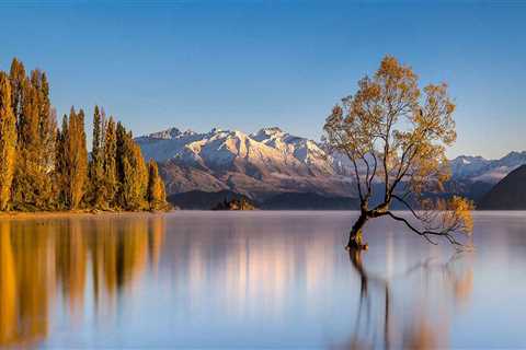 Not known Facts About Business Bankruptcy