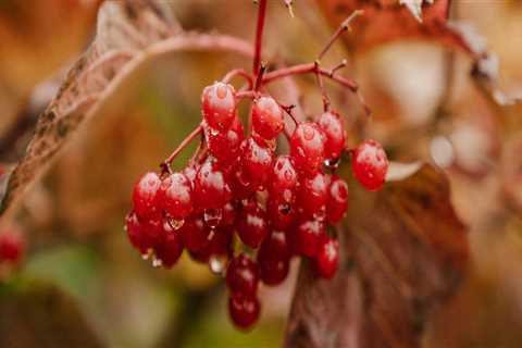 New Step by Step Map For Wealth Planning