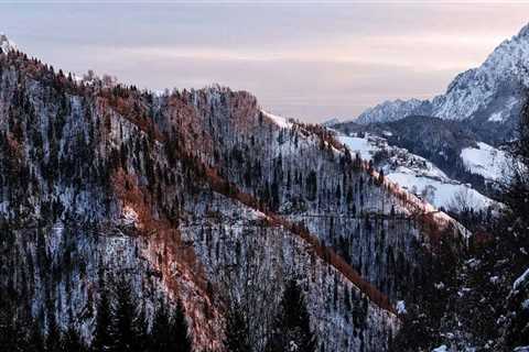 About Personal Trustee