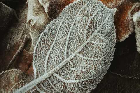 New blog adamw975ygp4.bloggazza.com