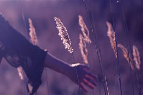 New blog giordanob221qer5.blogmazing.com