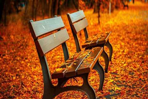 New blog aaroni665coy8.thechapblog.com