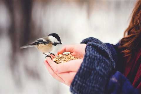 New blog edwardz198gqb0.blogsvila.com