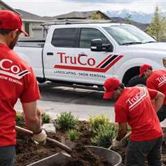 West Jordan Utah Landscaper
