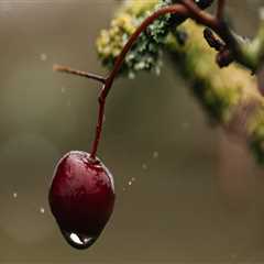 The 2-Minute Rule for Best Durable Poa Lawyer Near Me