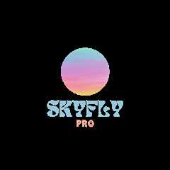 User: horacio binney  - skyflypro.com | Elevating Travel with Smarter Solutions